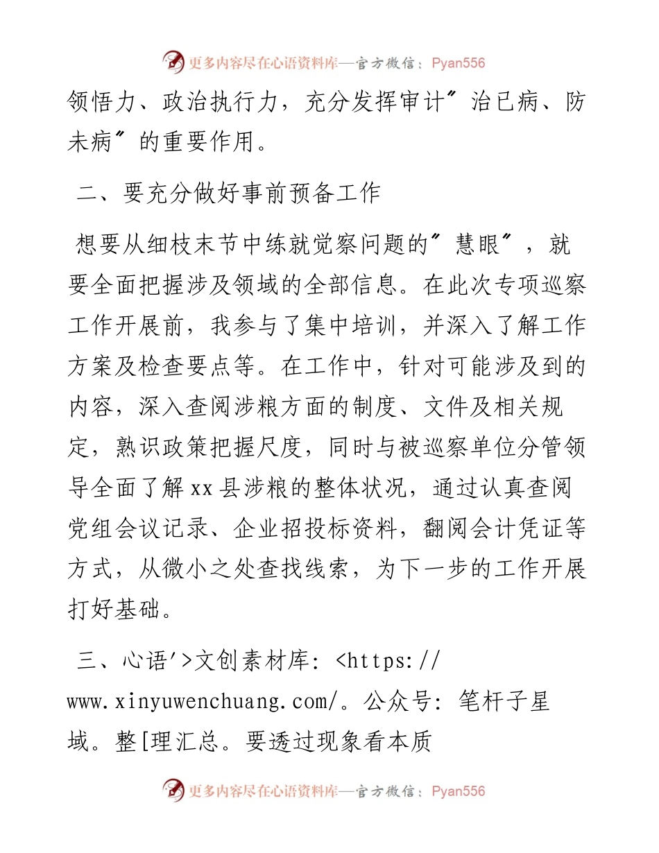 参与涉粮问题专项巡察心得体会.docx_第2页