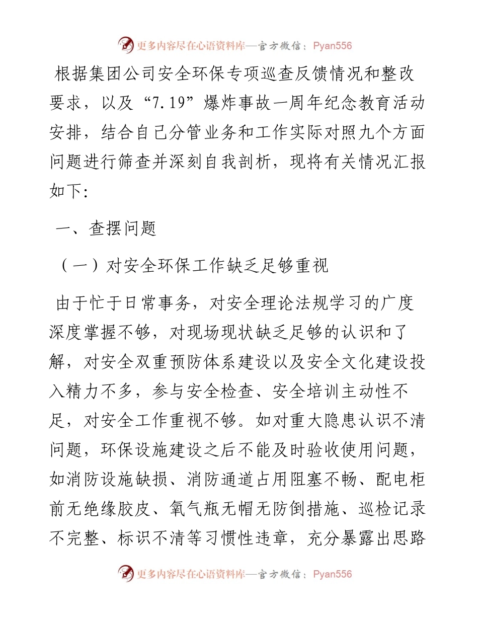 国企副总经理安全生产以案促改专题民主生活会个人发言提纲.docx_第1页