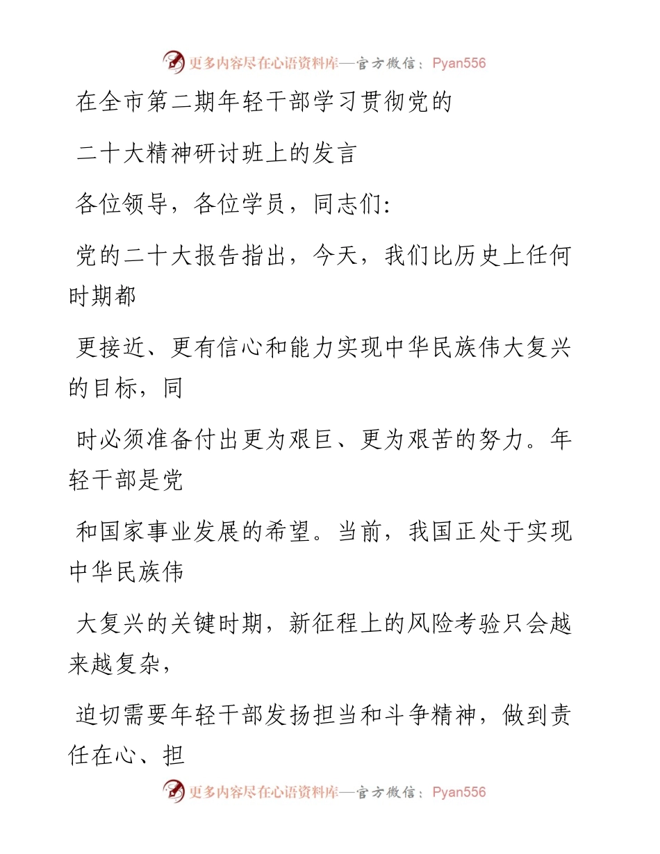 在全市第二期年轻干部学习贯彻党的二十大精神研讨班上的发言.docx_第1页