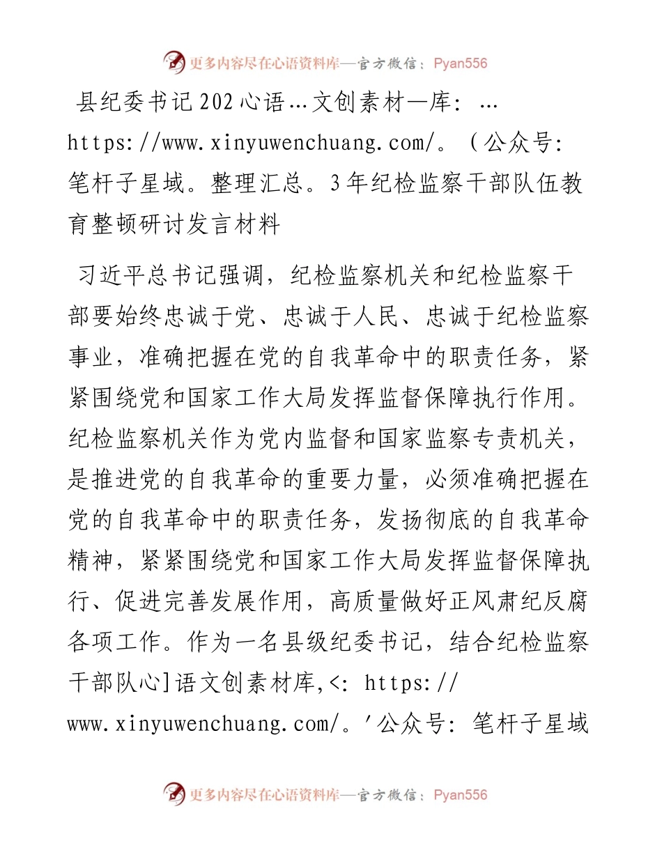县纪委书记2023年纪检监察干部队伍教育整顿研讨发言材料.docx_第1页