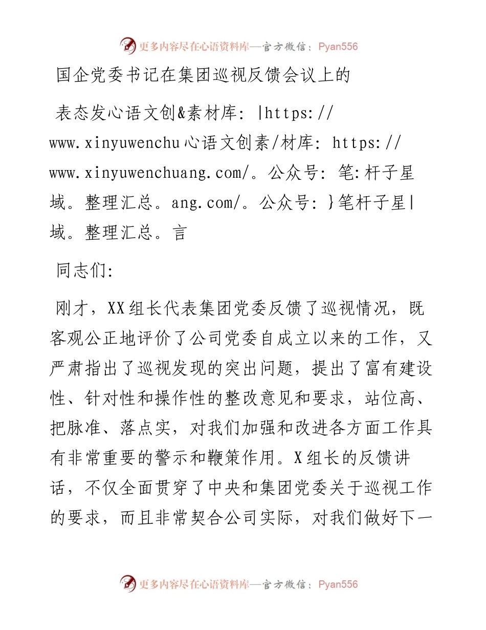 国企党委书记在集团巡视反馈会议上的表态发言.docx_第1页