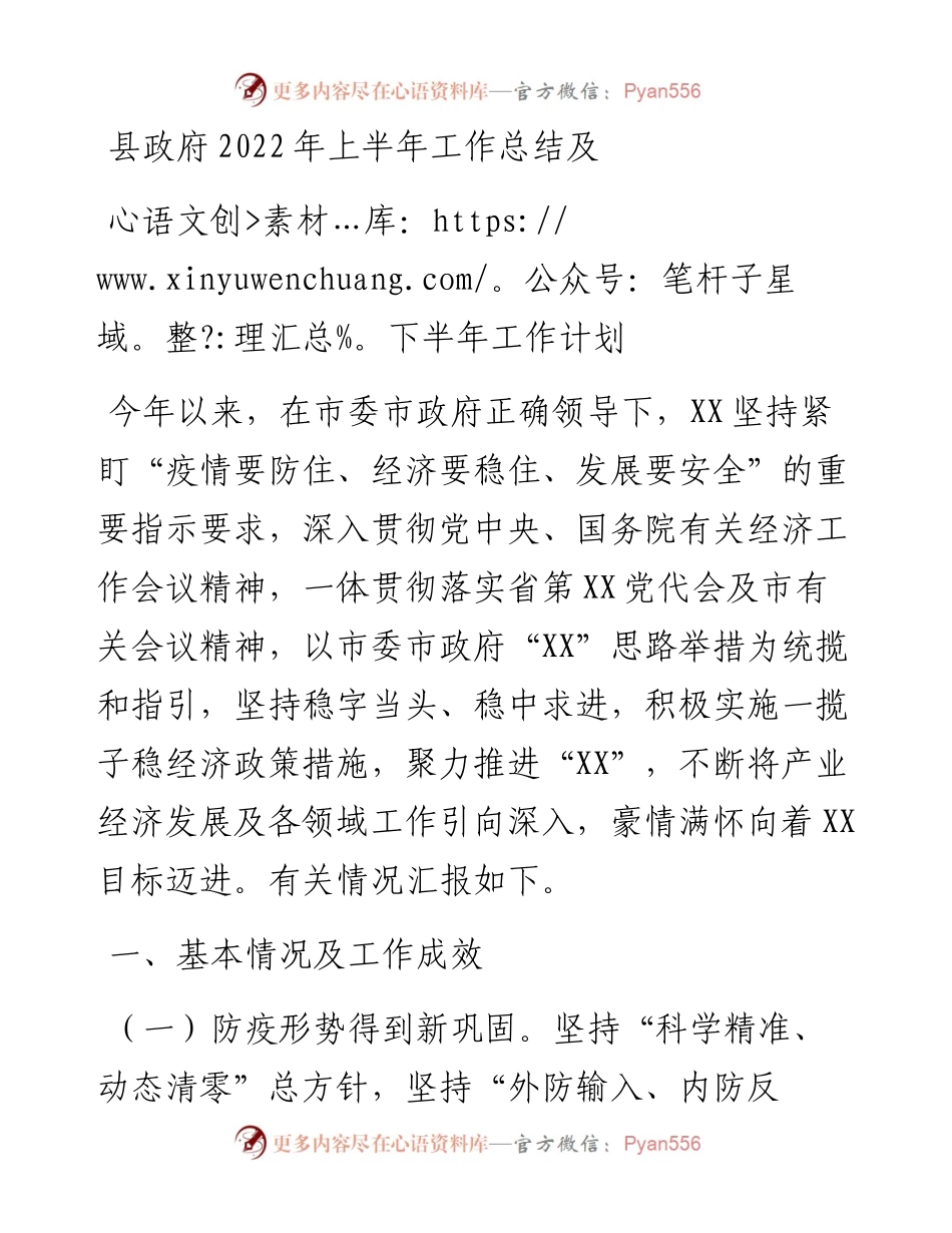 县政府上半年工作总结及下半年工作计划.docx_第1页