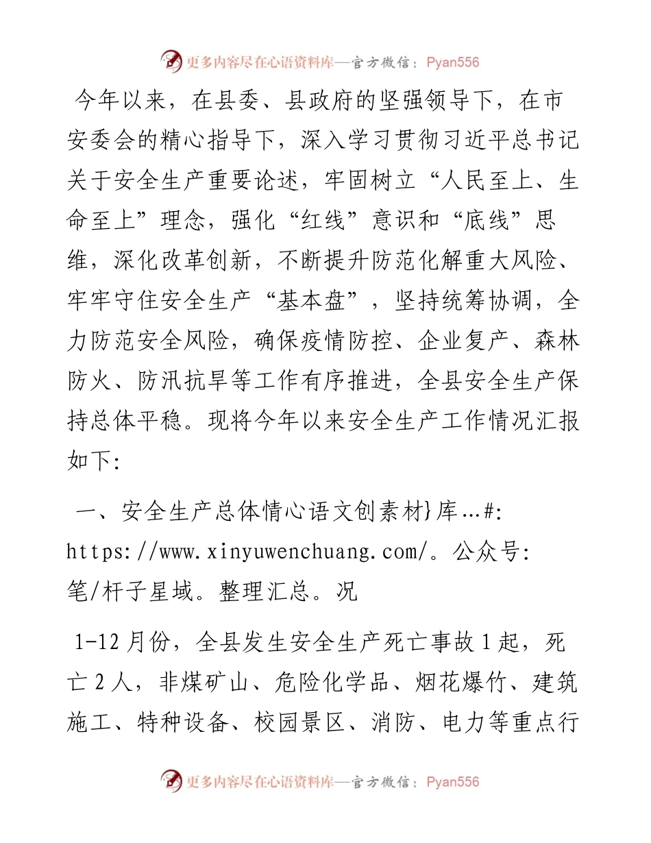 县应急管理局工作总结及工作思路.docx_第1页