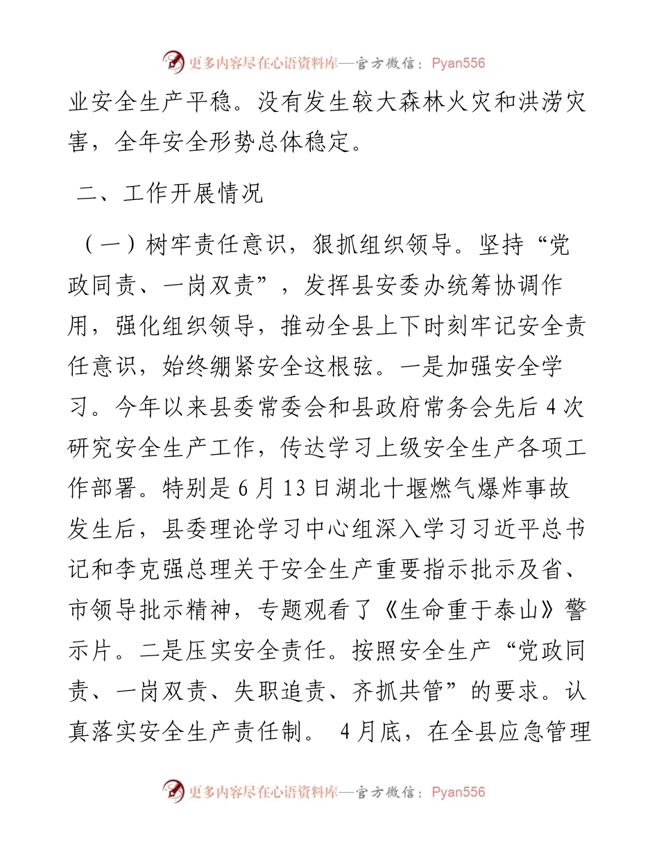 县应急管理局工作总结及工作思路.docx_第2页