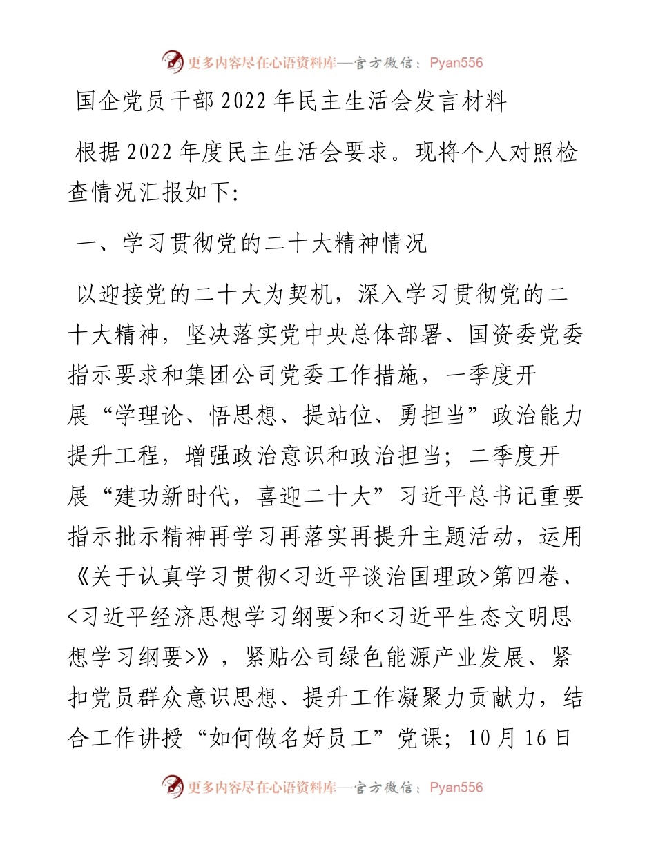 国企党员干部民主生活会发言材料.docx_第1页