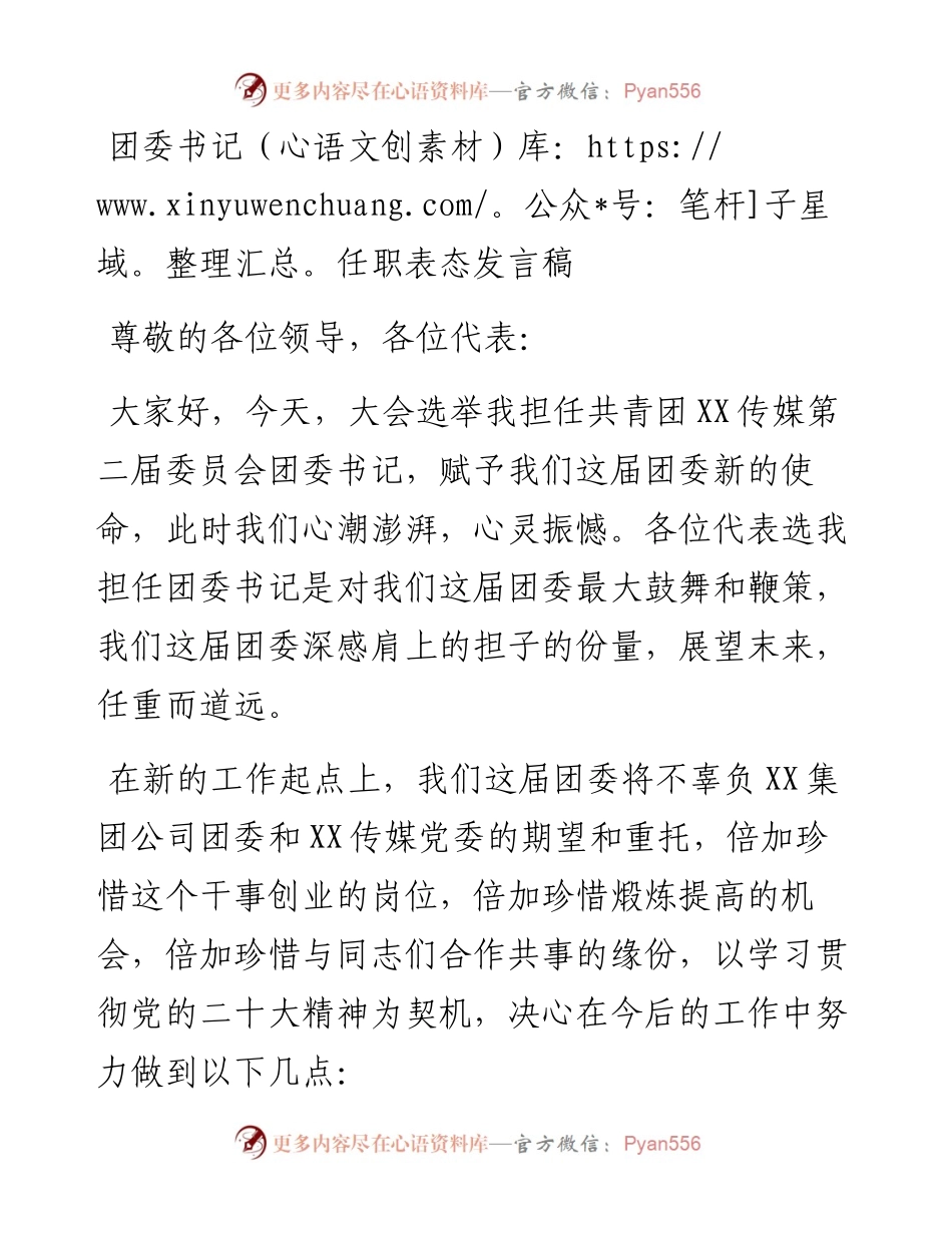 团委书记任职表态发言稿.docx_第1页