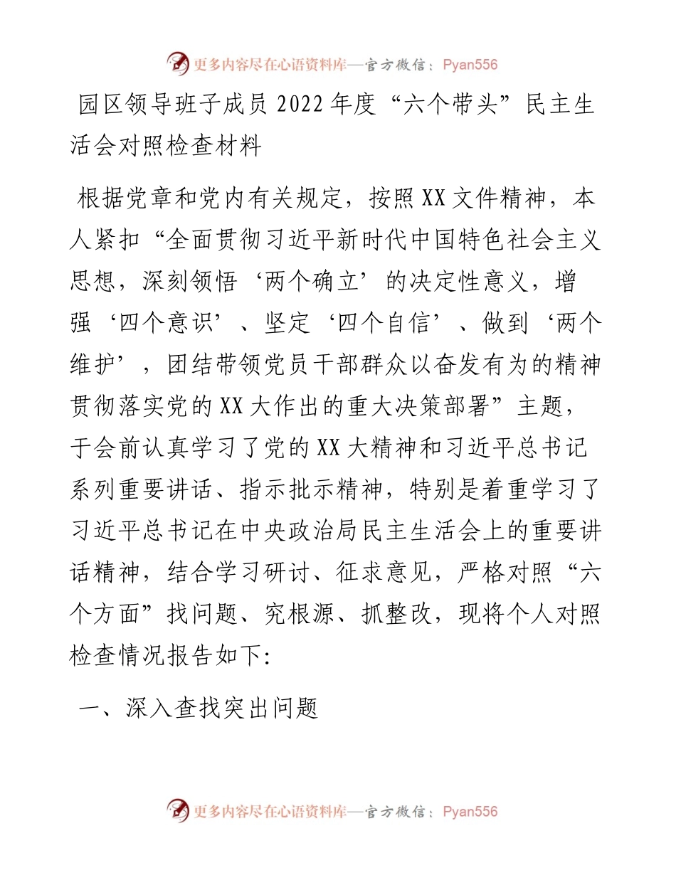 园区领导班子成员度“六个带头”民主生活会对照检查材料.docx_第1页
