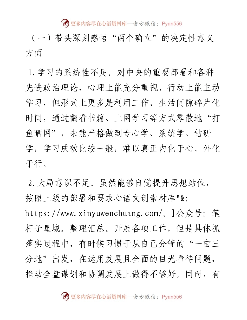 园区领导班子成员度“六个带头”民主生活会对照检查材料.docx_第2页