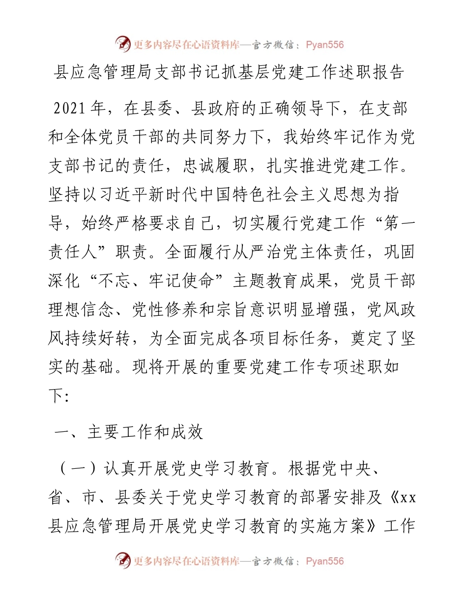 县应急管理局支部书记抓基层党建工作述职报告.docx_第1页