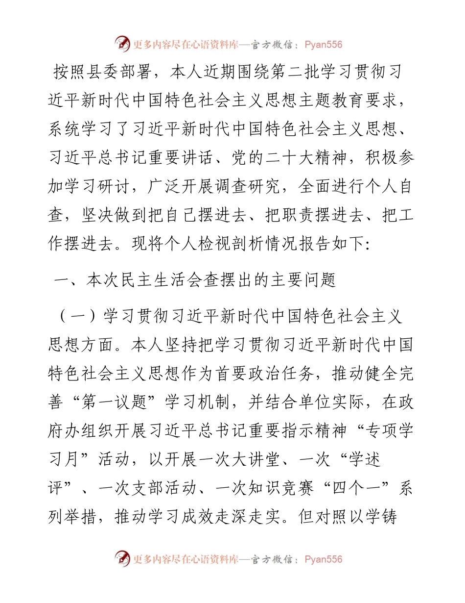 县政府办公室主任在主题教育专题民主生活会上的个人发言提纲.docx_第1页