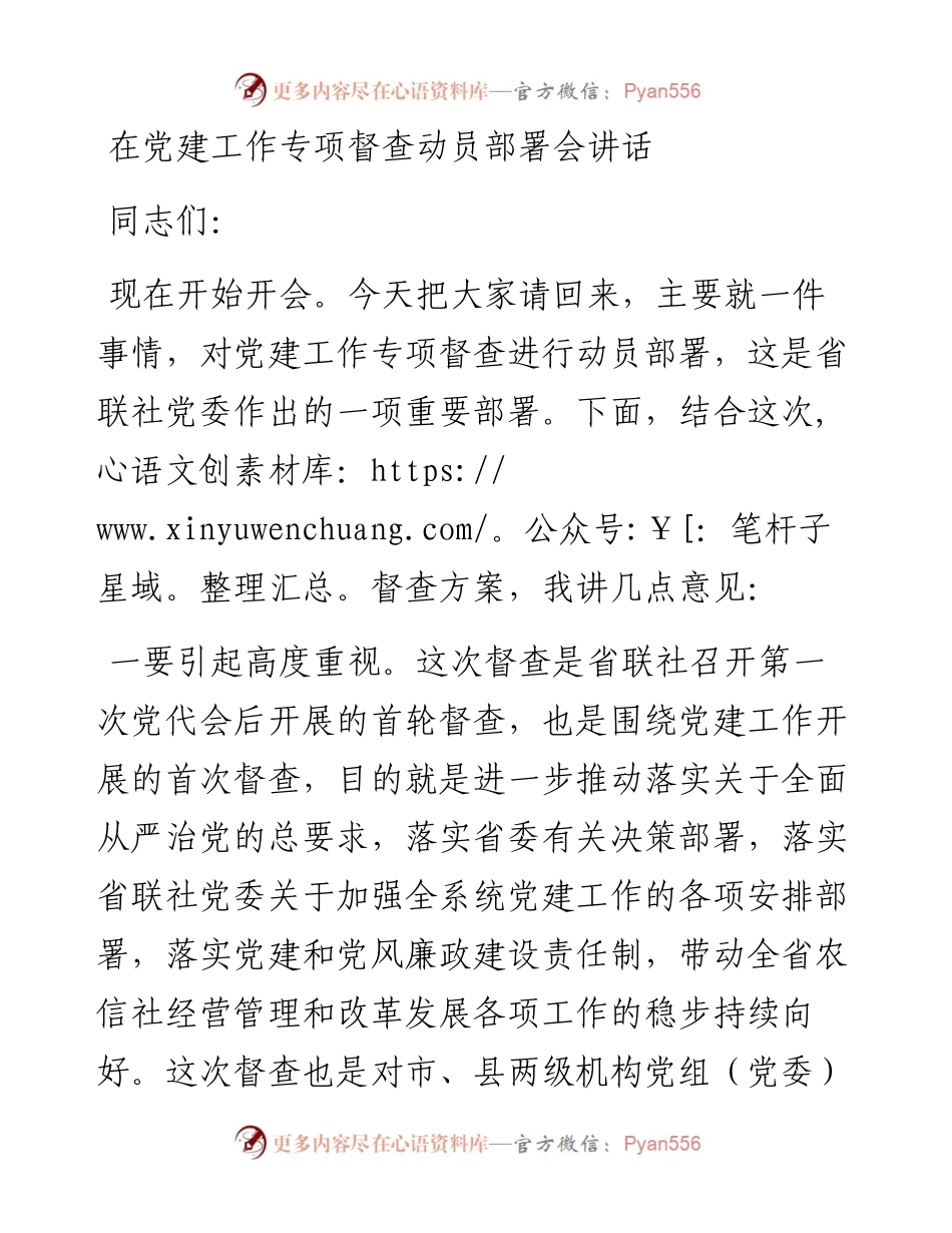 在党建工作专项督查动员部署会讲话.docx_第1页