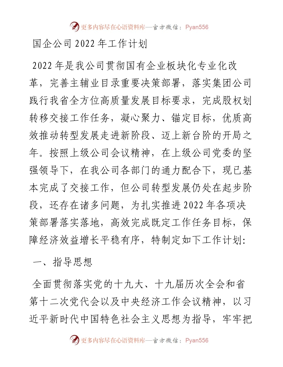 国企公司工作计划.docx_第1页