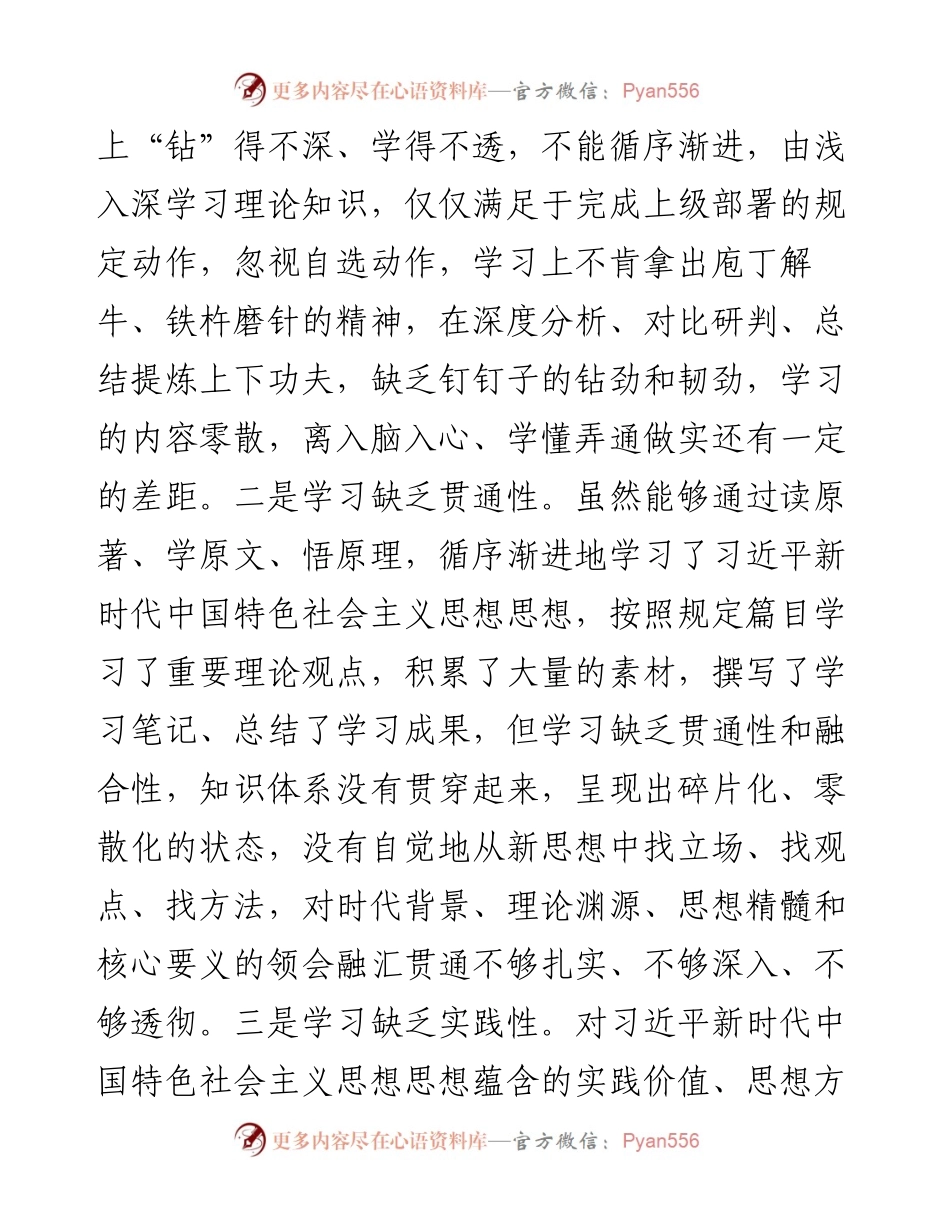 县长2023年度主题教育专题民主生活会个人对照检查材料.docx_第2页