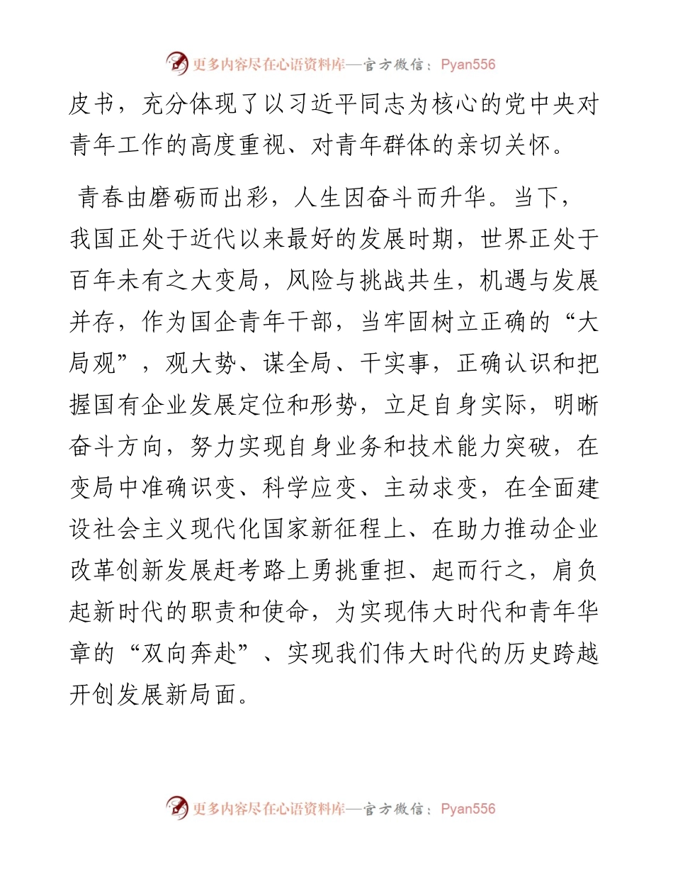 国企党委书记在新时代“青年干部”专题党课上的讲稿.docx_第2页