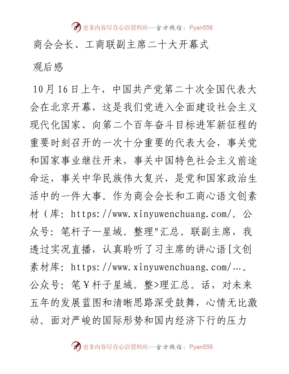 商会会长、工商联副主席二十大开幕式观后感.docx_第1页