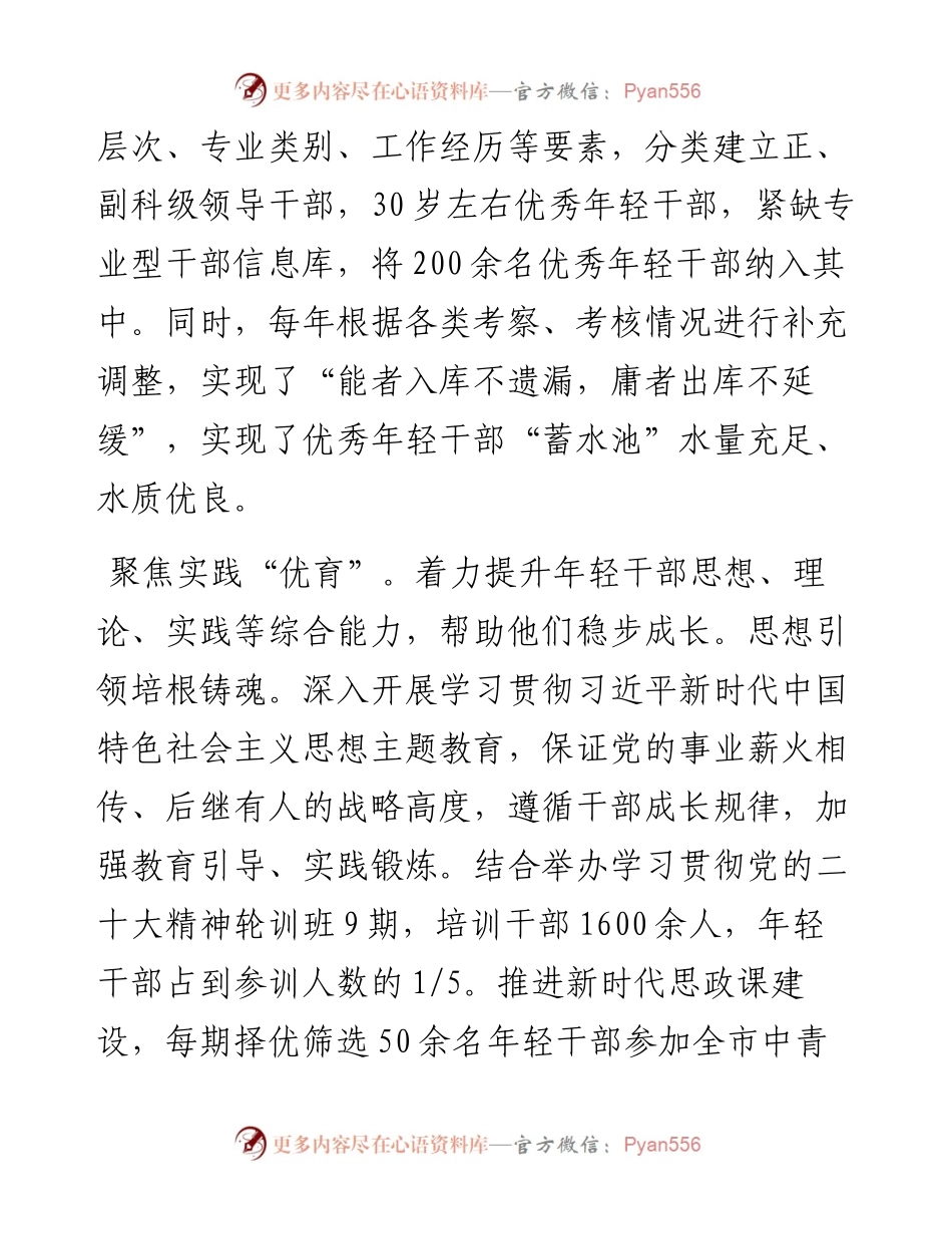 在2024年年轻干部队伍建设调研座谈会上的汇报发言.docx_第2页