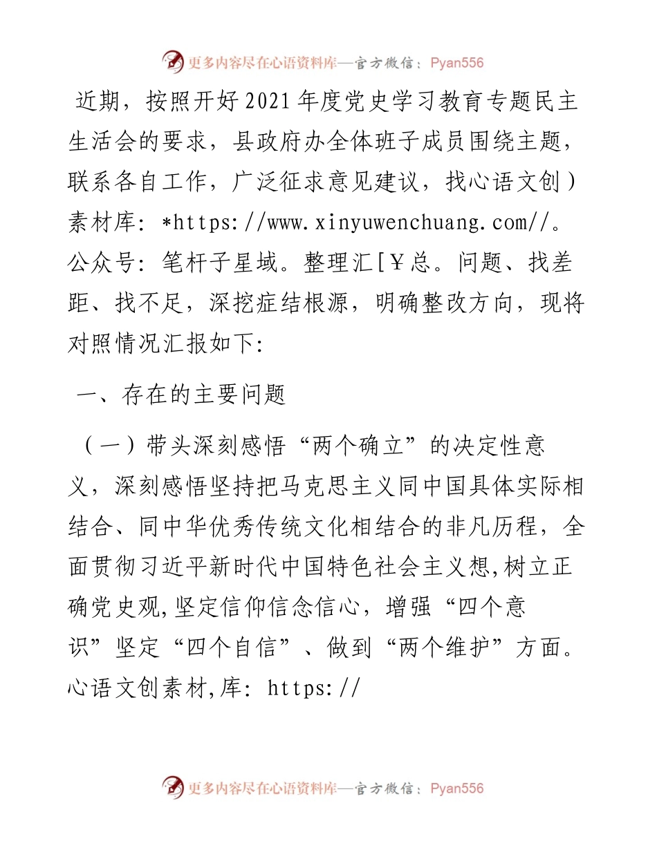 县政府办领导班子党史学习教育专题民主生活会剖析材料.docx_第1页