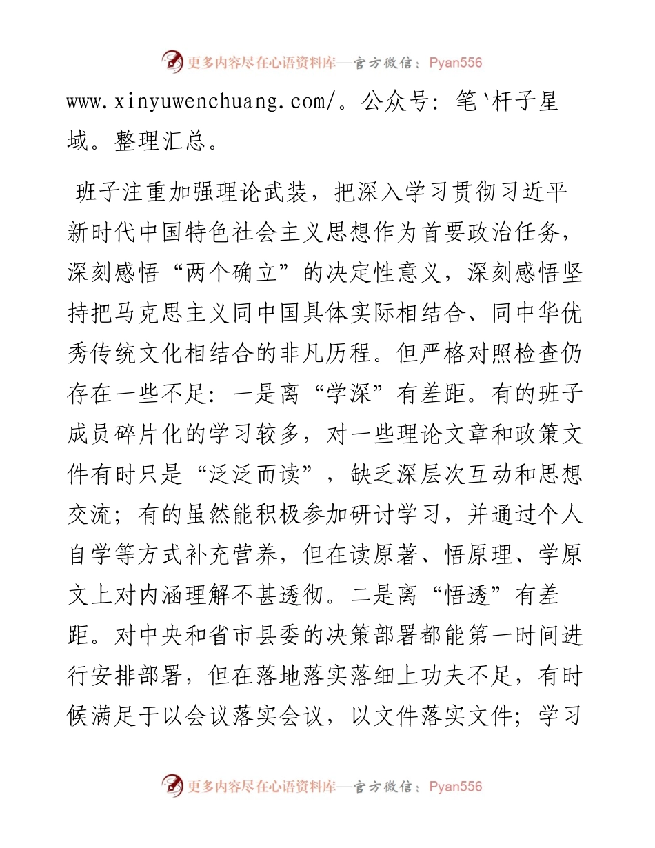 县政府办领导班子党史学习教育专题民主生活会剖析材料.docx_第2页