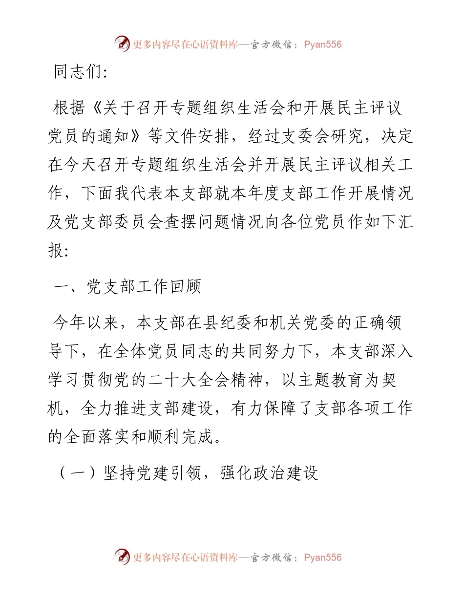 县纪委监委第四支部工作总结.docx_第1页