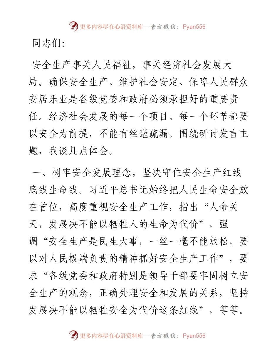 在党组中心组安全生产专题研讨交流会上的发言材料.docx_第1页