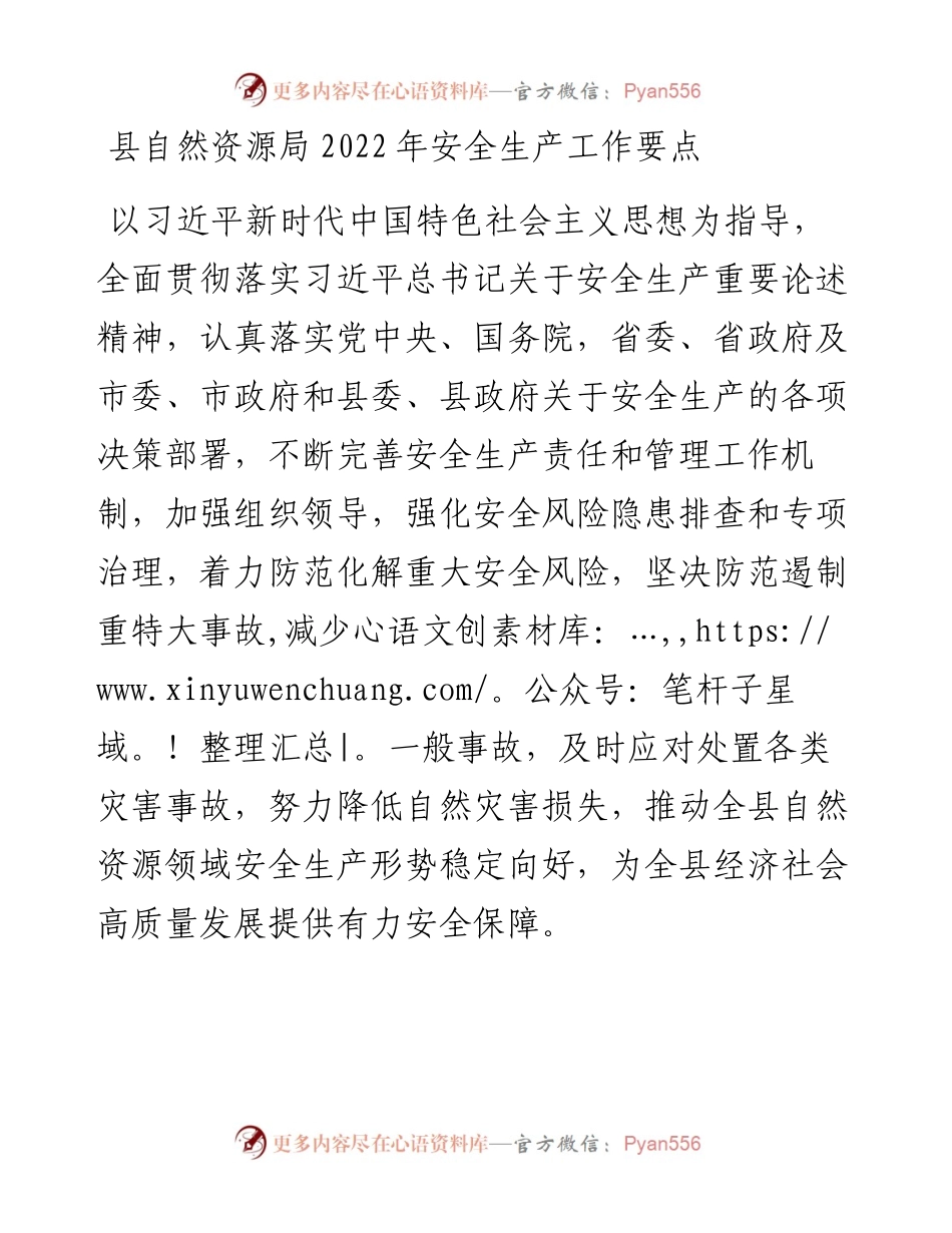 县自然资源局202X年安全生产工作要点.docx_第1页