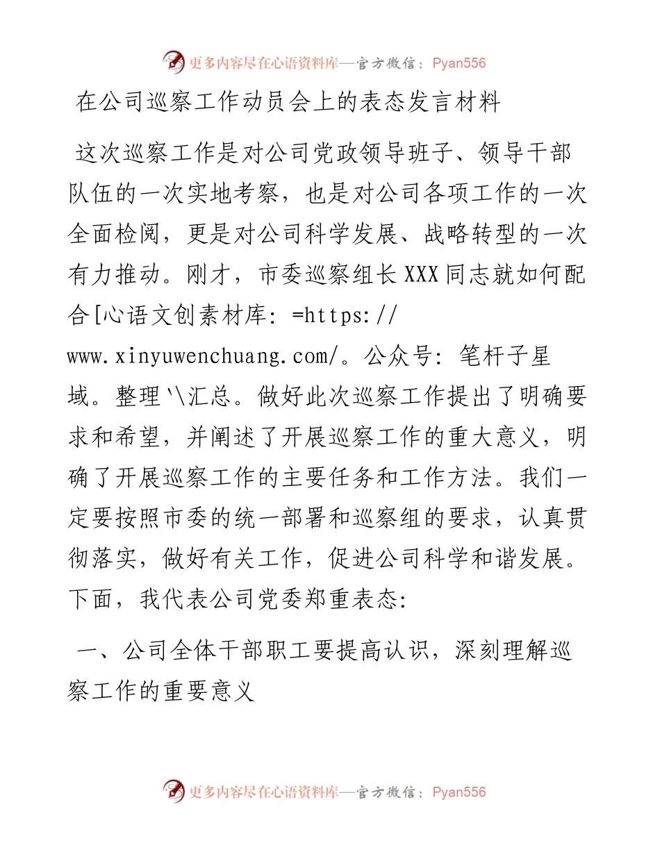 在公司巡察工作动员会上的表态发言材料.docx_第1页