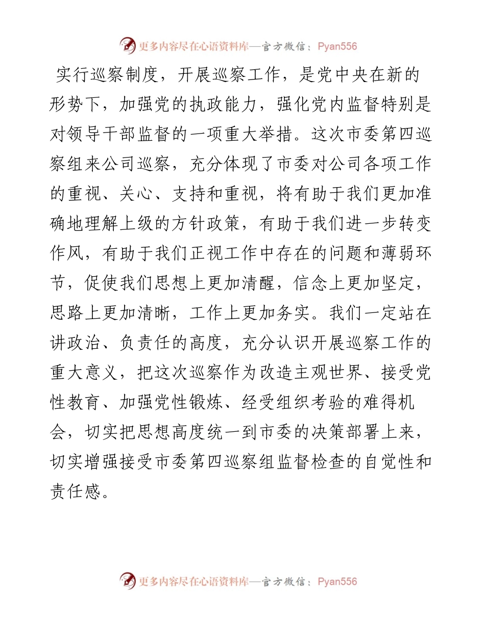 在公司巡察工作动员会上的表态发言材料.docx_第2页