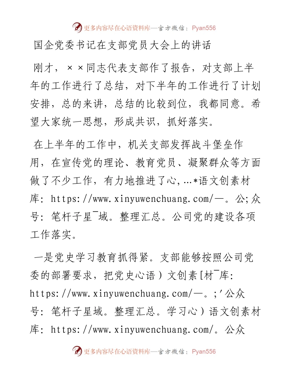 国企党委书记在支部党员大会上的讲话.docx_第1页