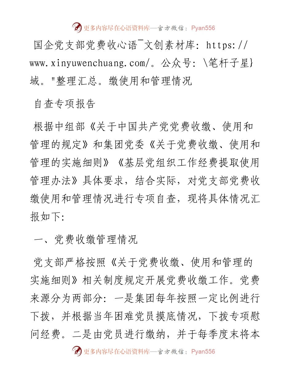 国企党支部党费收缴使用和管理情况自查专项报告.docx_第1页