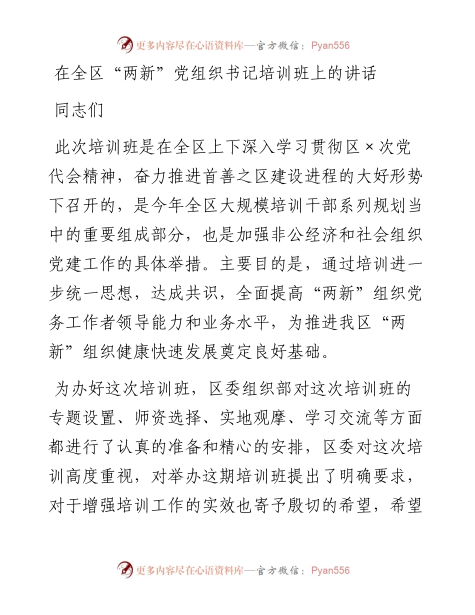 在全区“两新”党组织书记培训班上的讲话.docx_第1页