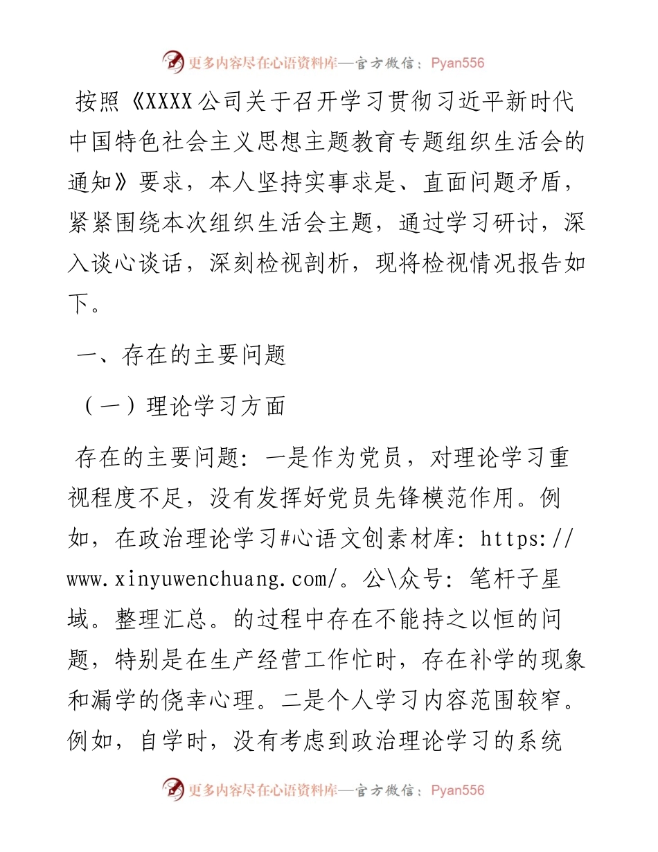 国企副总经理2023年主题教育专题组织生活会个人对照检查材料.docx_第1页