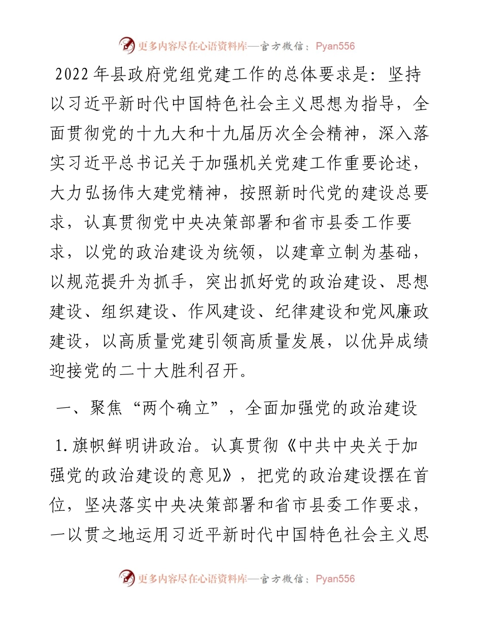 县政府党组党建工作安排意见.docx_第1页
