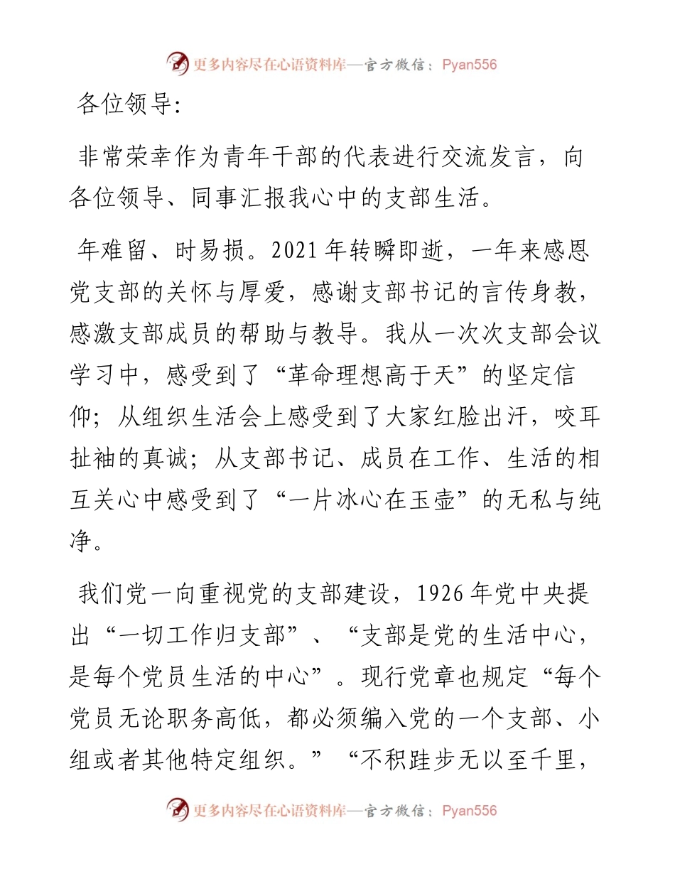 在党支部总结会上的发言材料.docx_第1页