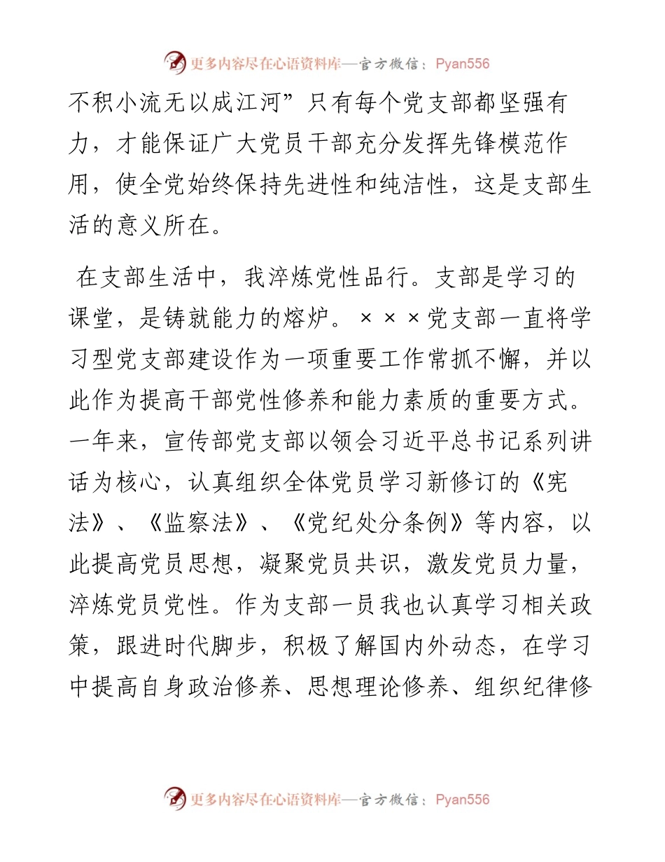在党支部总结会上的发言材料.docx_第2页