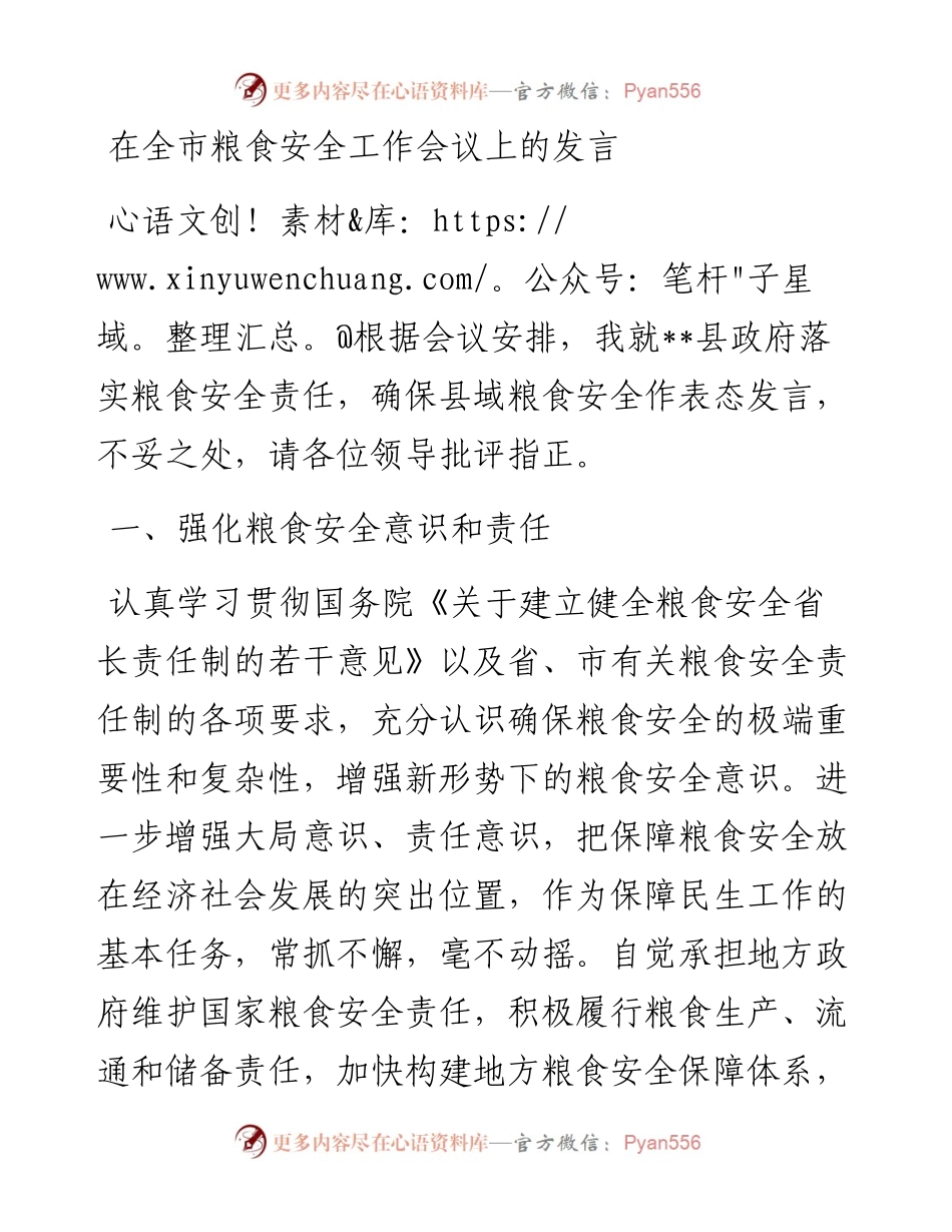 在全市粮食安全工作会议上的发言.docx_第1页