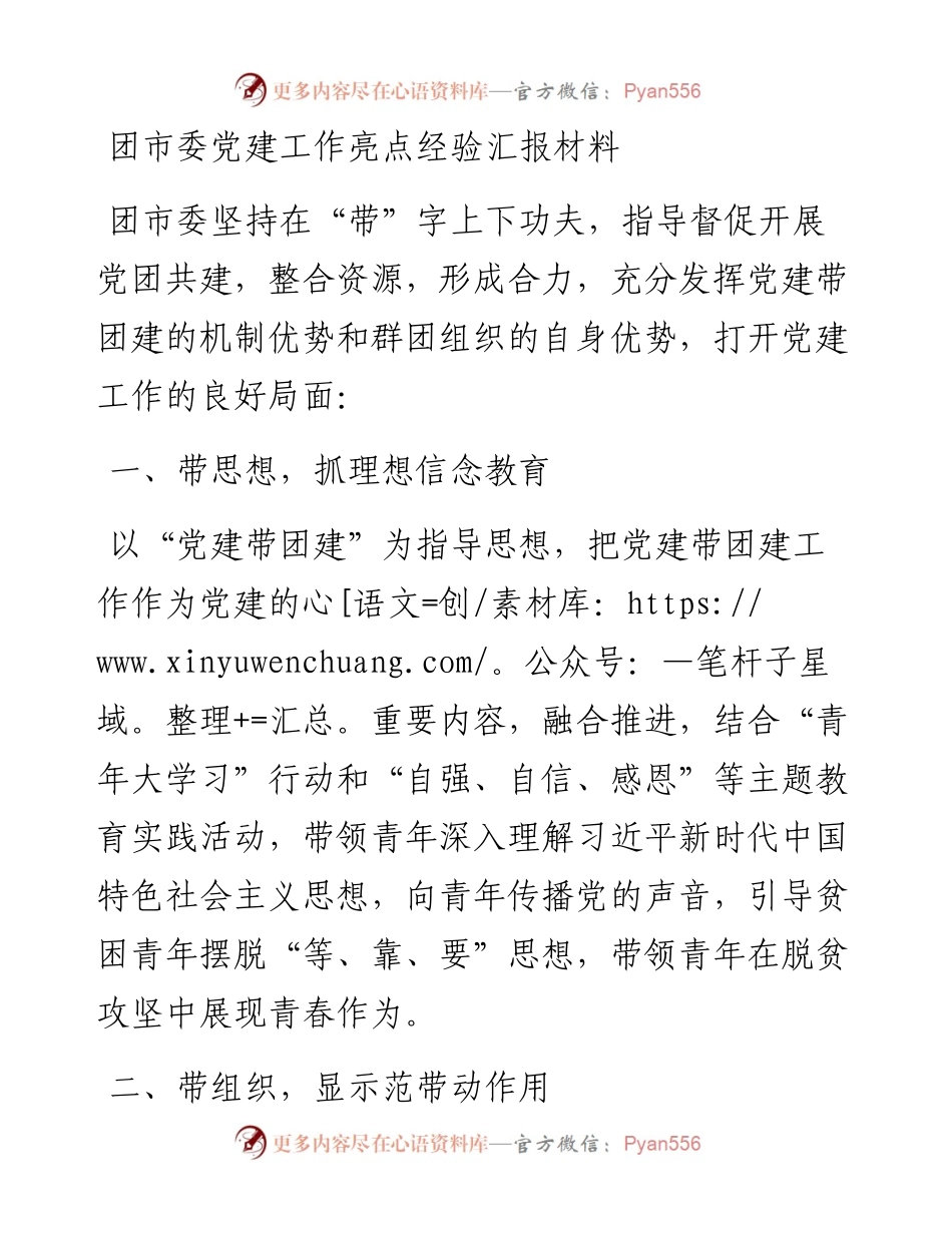 团市委党建工作亮点经验汇报材料.docx_第1页