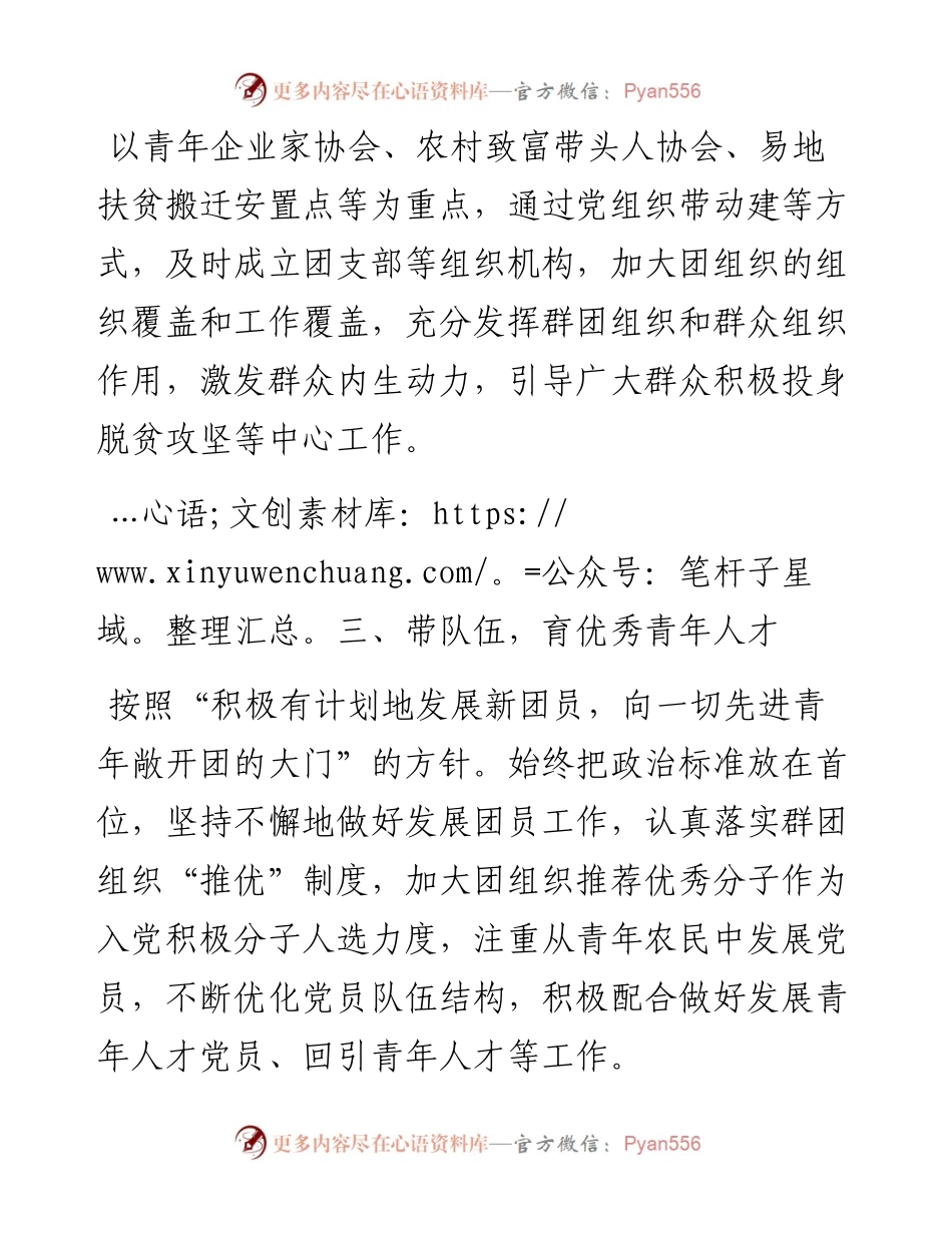 团市委党建工作亮点经验汇报材料.docx_第2页