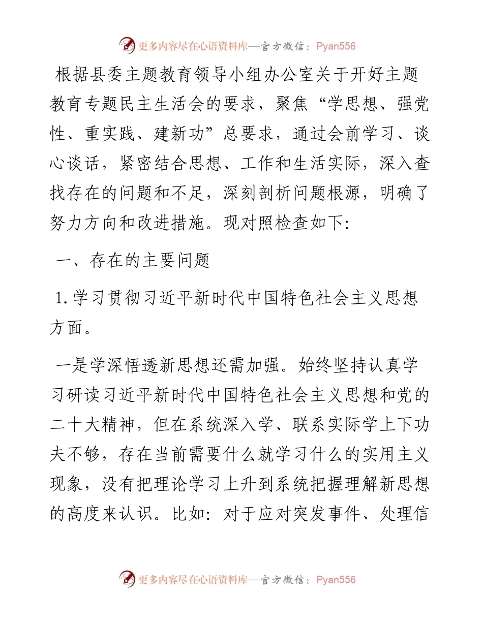 县政府办公室主任主题教育专题民主生活会个人发言提纲.docx_第1页