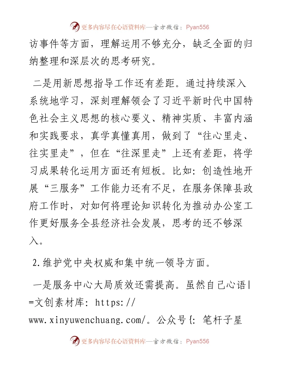 县政府办公室主任主题教育专题民主生活会个人发言提纲.docx_第2页