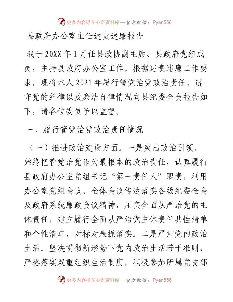 县政府办公室主任述责述廉报告.docx_第1页