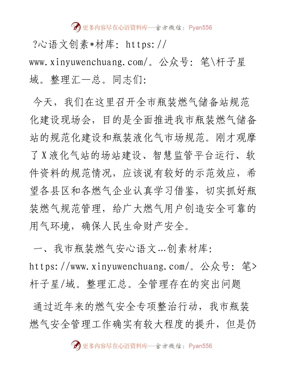 在全市燃气储备站规范化建设现场会上的发言.docx_第1页