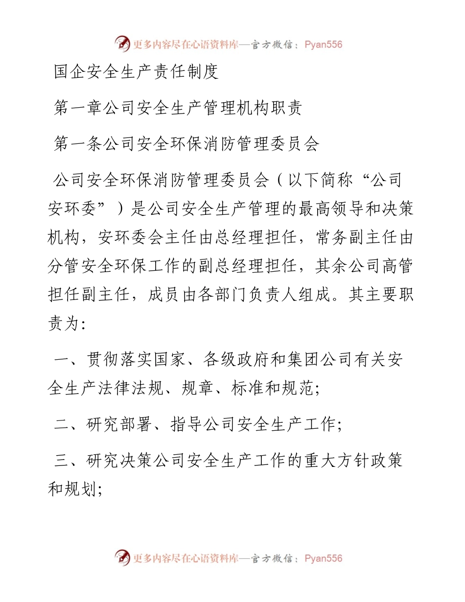 国企安全生产责任制度.docx_第1页
