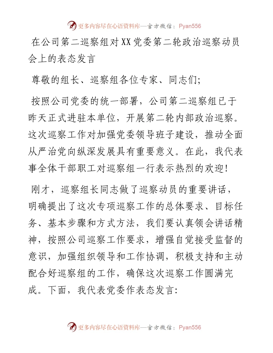 在公司第二巡察组对XX党委第二轮政治巡察动员会上的表态发言.docx_第1页