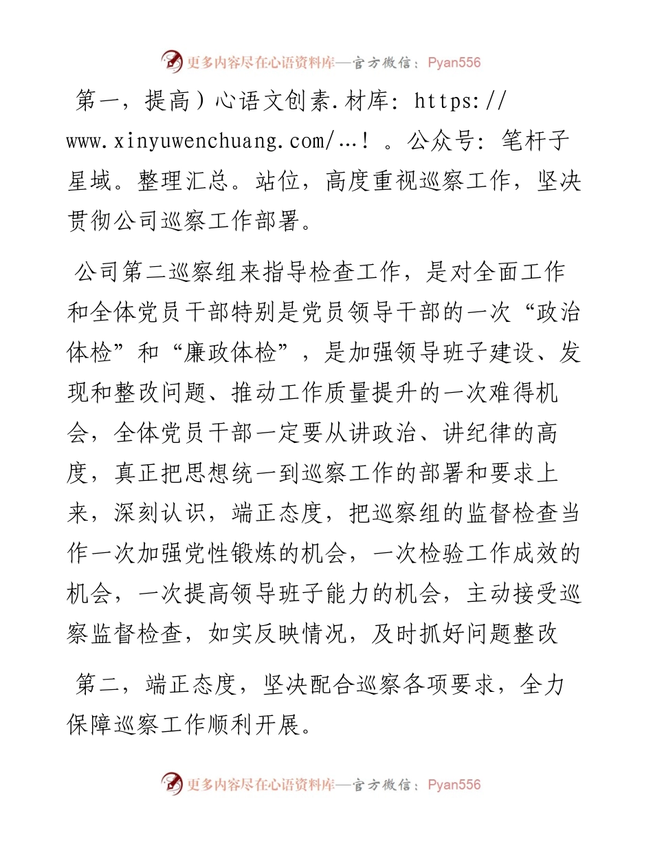 在公司第二巡察组对XX党委第二轮政治巡察动员会上的表态发言.docx_第2页