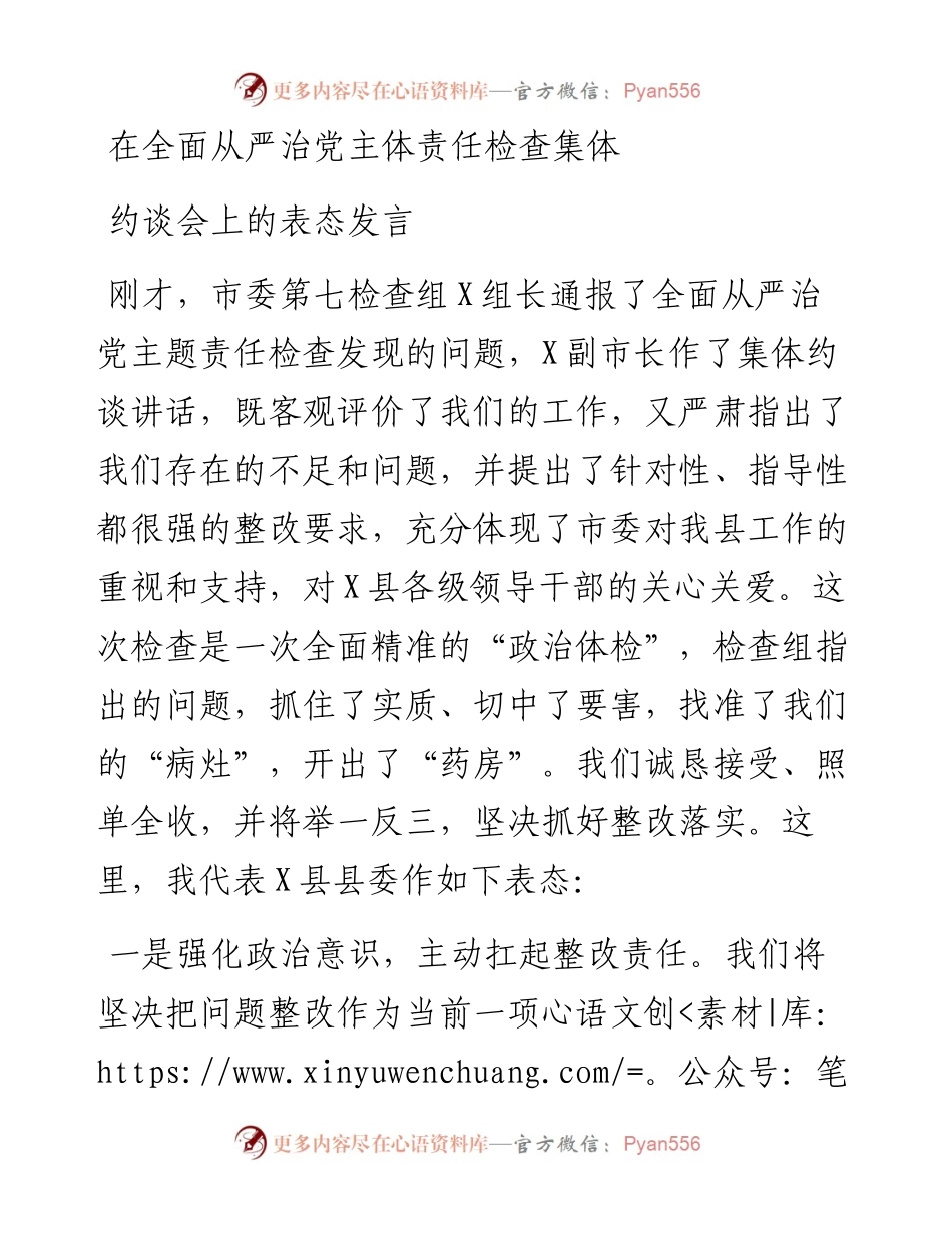 在全面从严治党主体责任检查集体约谈会上的表态发言.docx_第1页