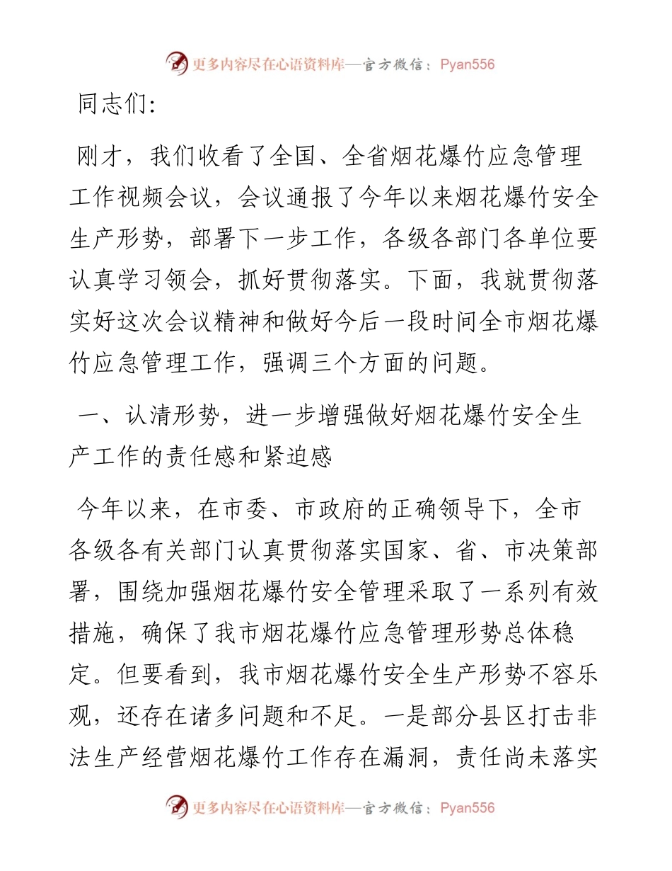在全市烟花爆竹安全监管视频会议上的讲话.docx_第1页