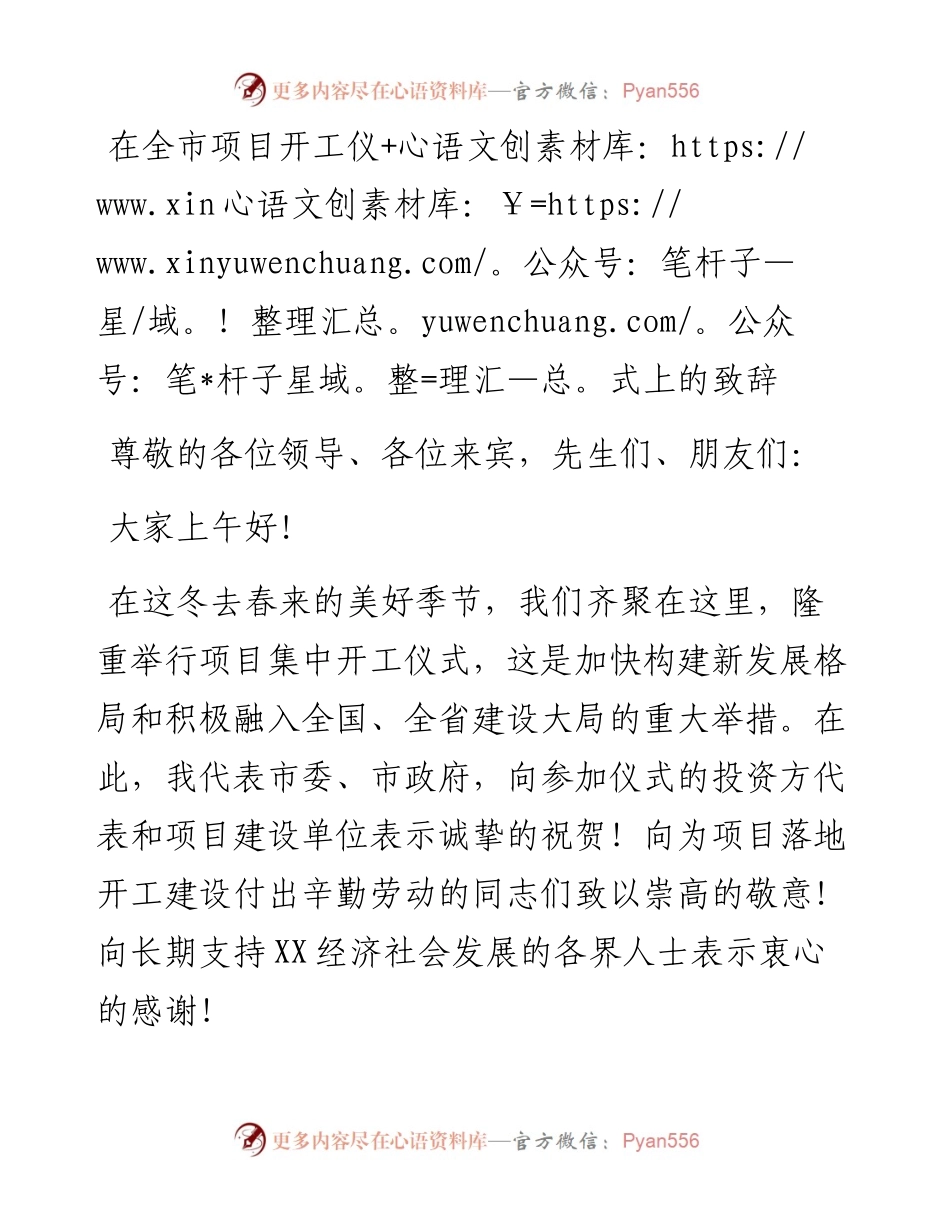 在全市项目开工仪式上的致辞.docx_第1页