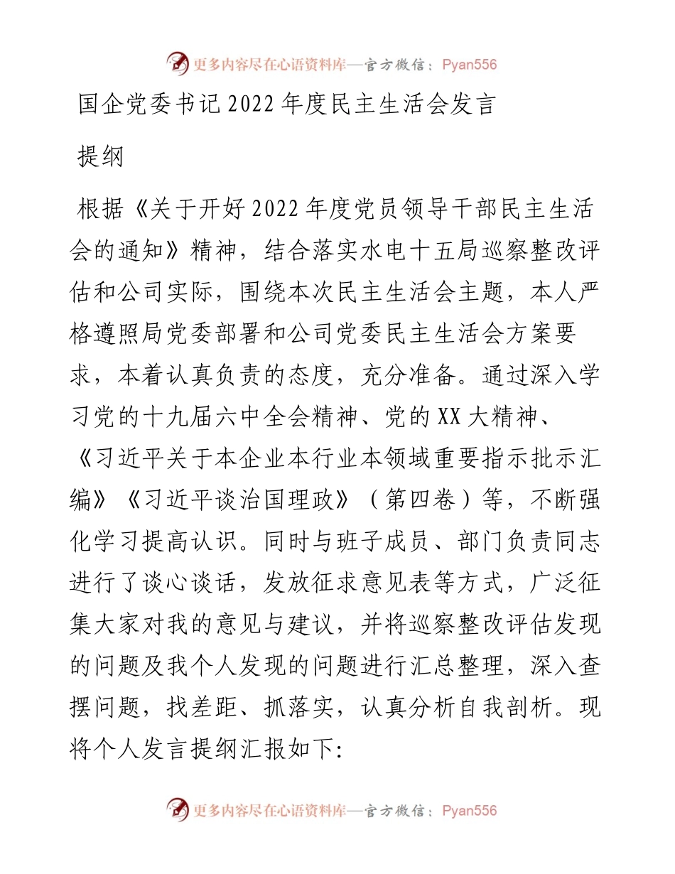 国企党委书记度民主生活会发言提纲.docx_第1页