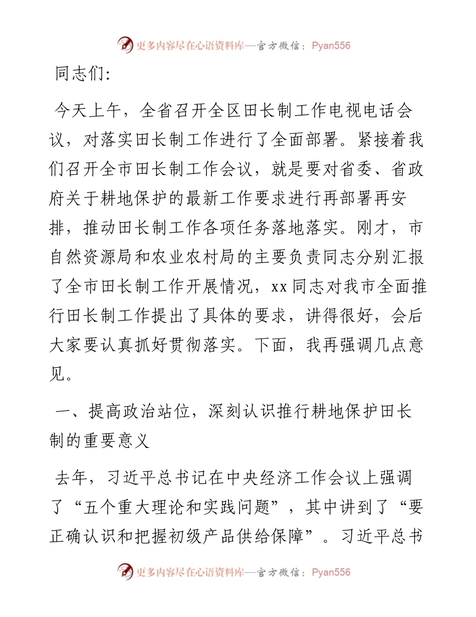 在全市田长制工作会议上的讲话.docx_第1页