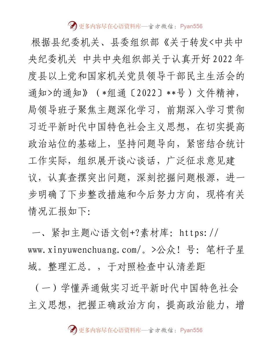 县统计系统民主生活会党组书记发言材料.docx_第1页